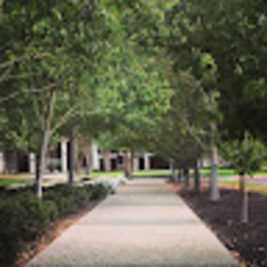 Meet your Posher, Amethyst